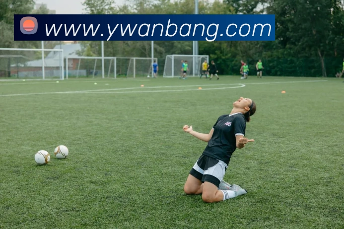 九游j9官网全站App